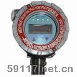 FGM-1100可燃?xì)怏w檢測(cè)儀