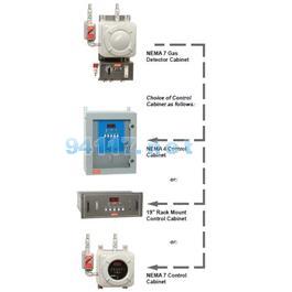 發(fā)電機冷卻氣在線安全監(jiān)測儀436系列